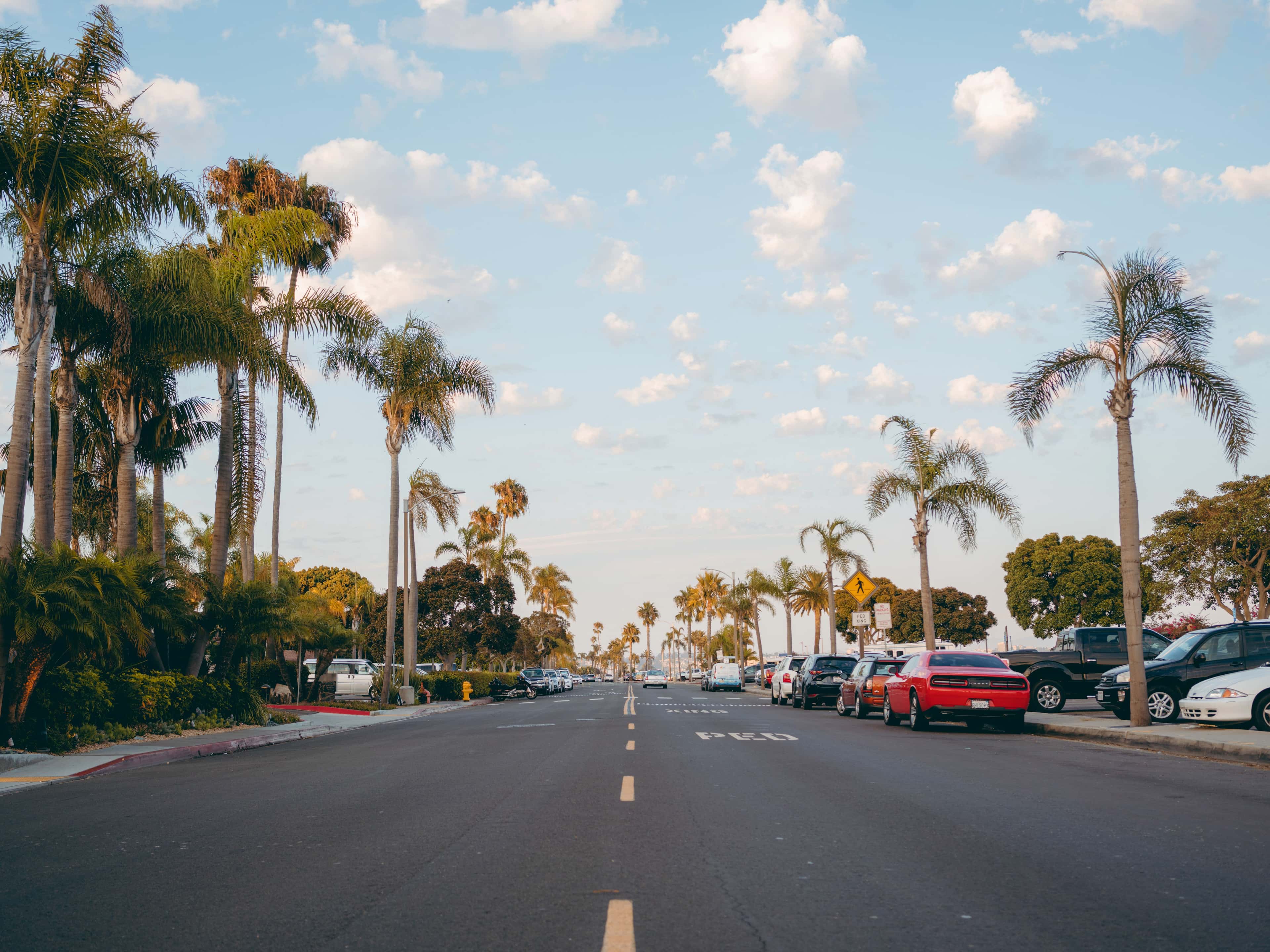 Parked vehicles near a San Diego road