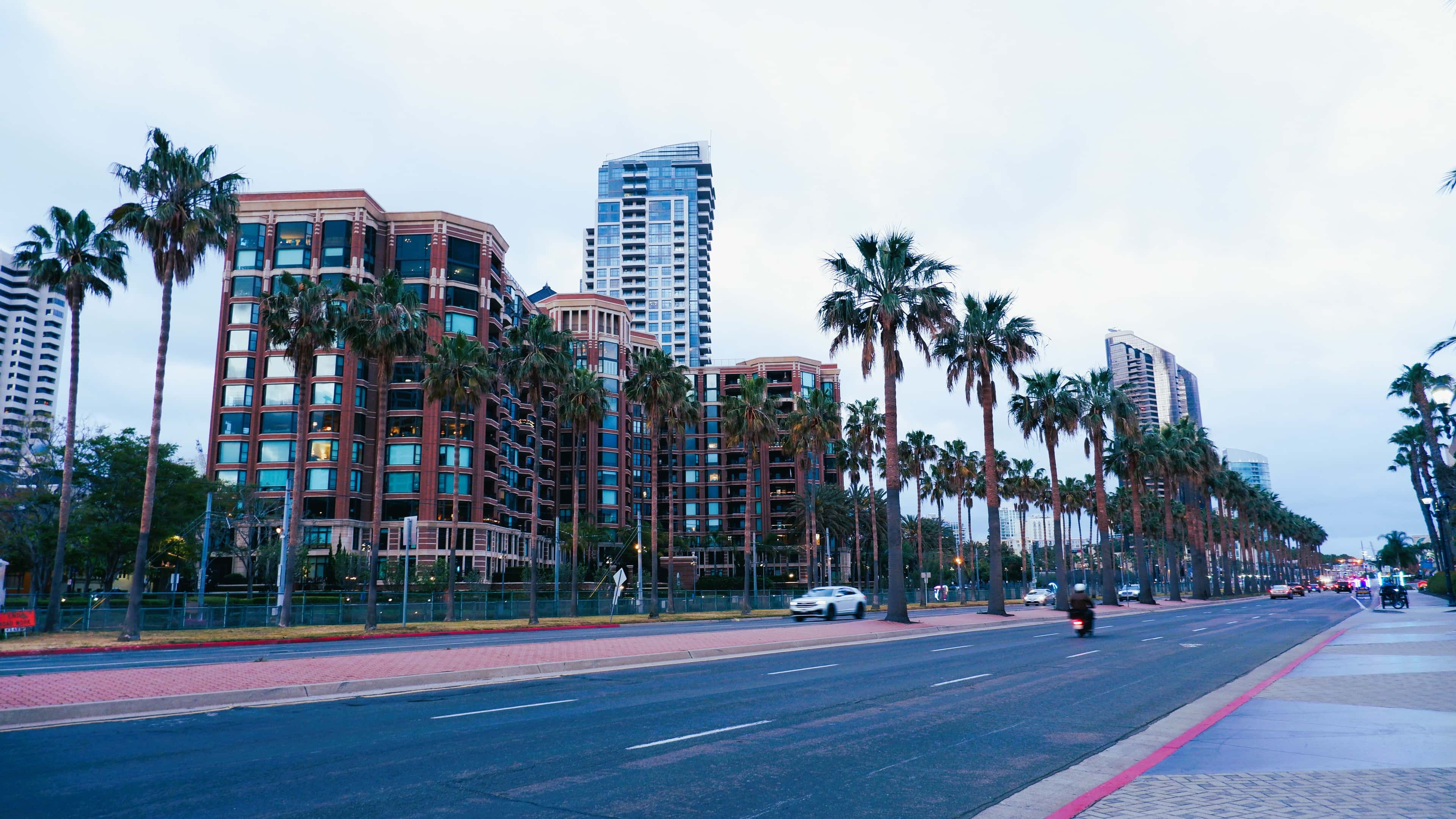 Modern San Diego cityscape with palm trees at dusk